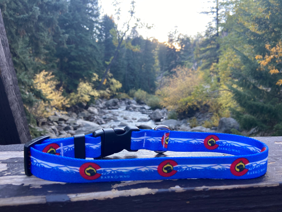 Colorado Flag Dog Collar