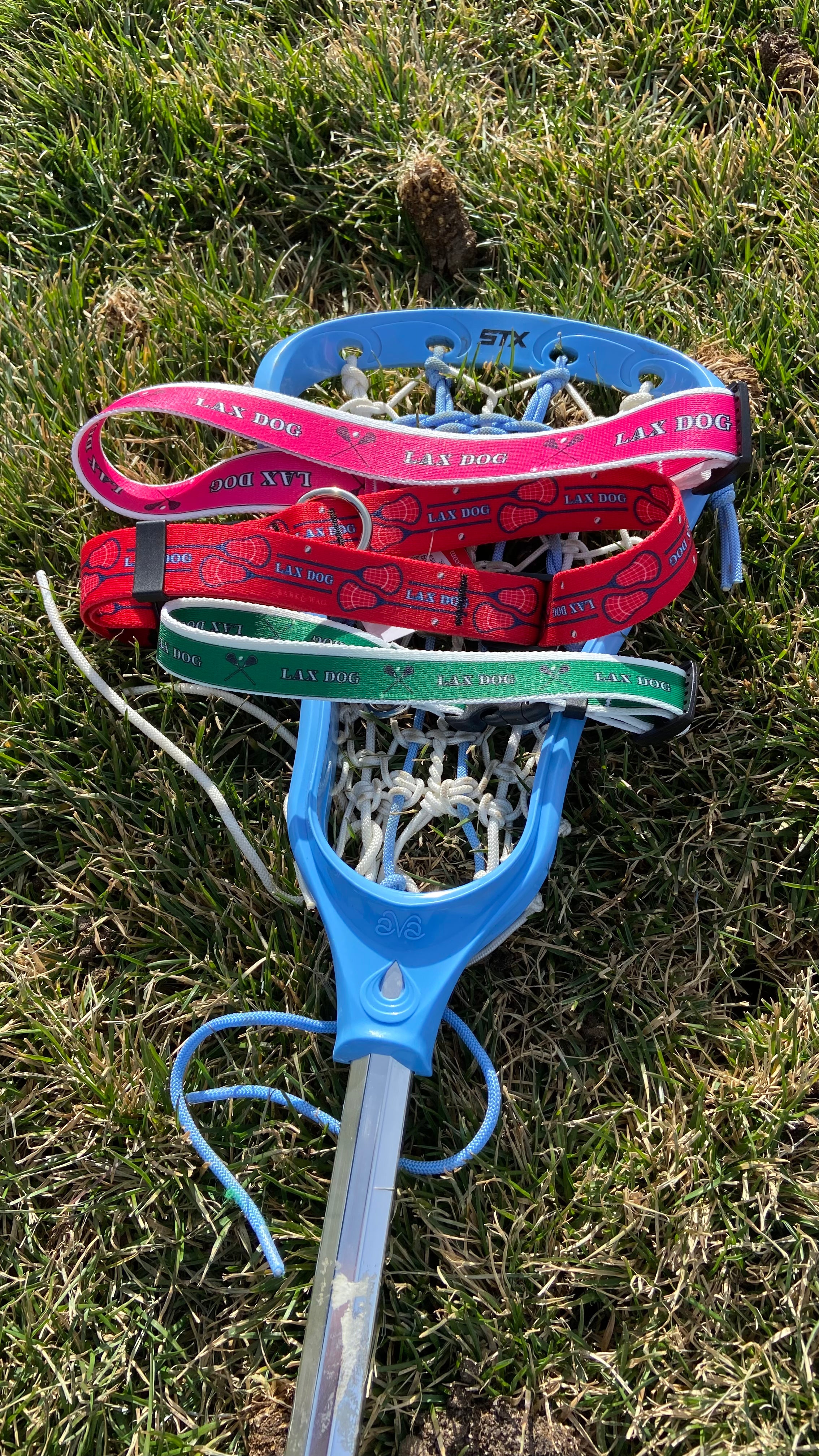 Lacrosse LAX Dog Red Collar