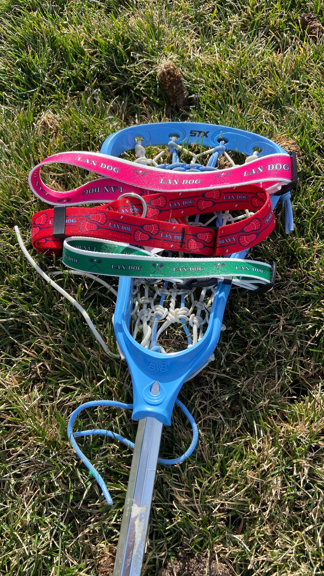 Lacrosse LAX Dog Red Collar