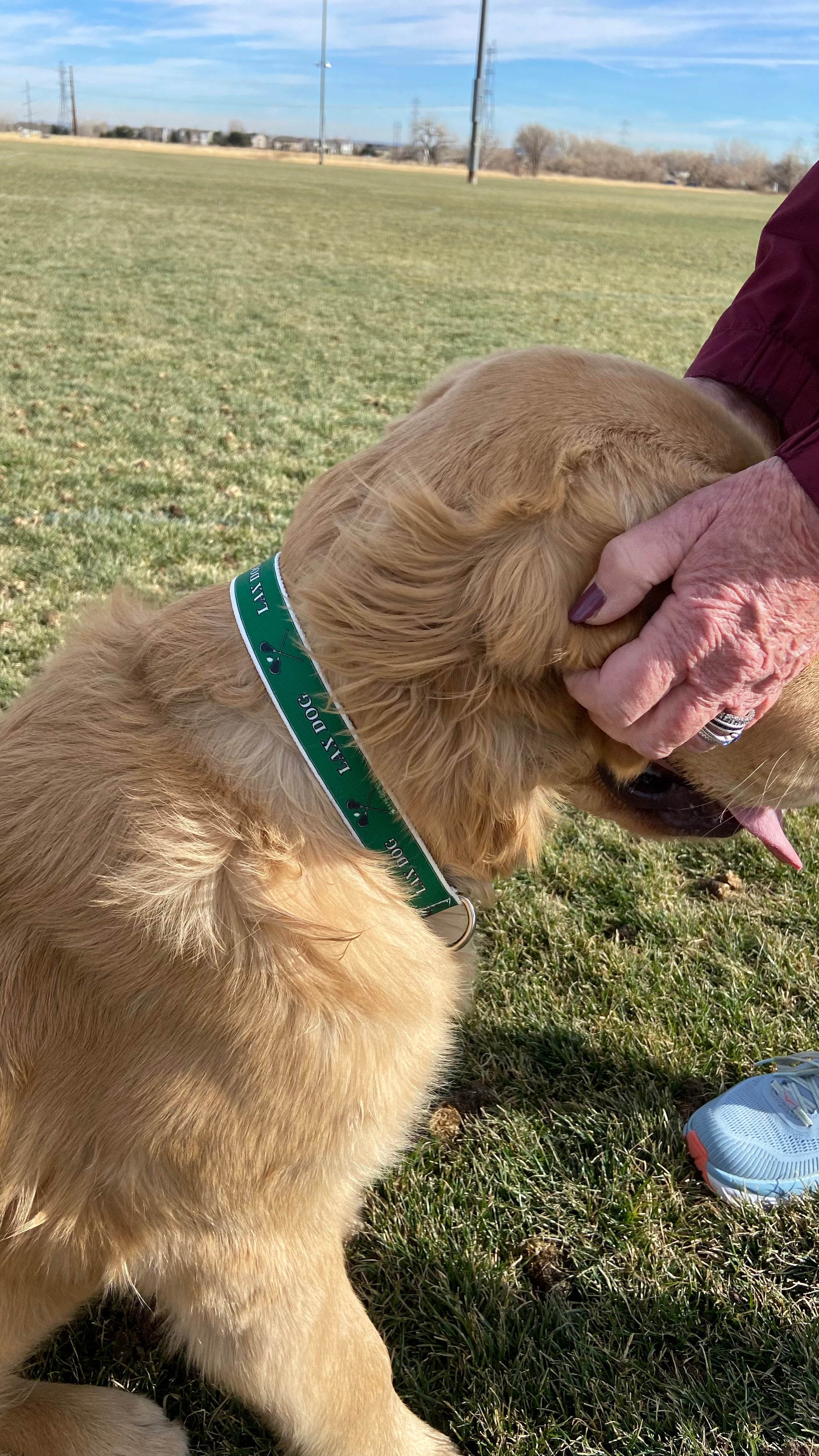Lacrosse LAX Dog Green Collar