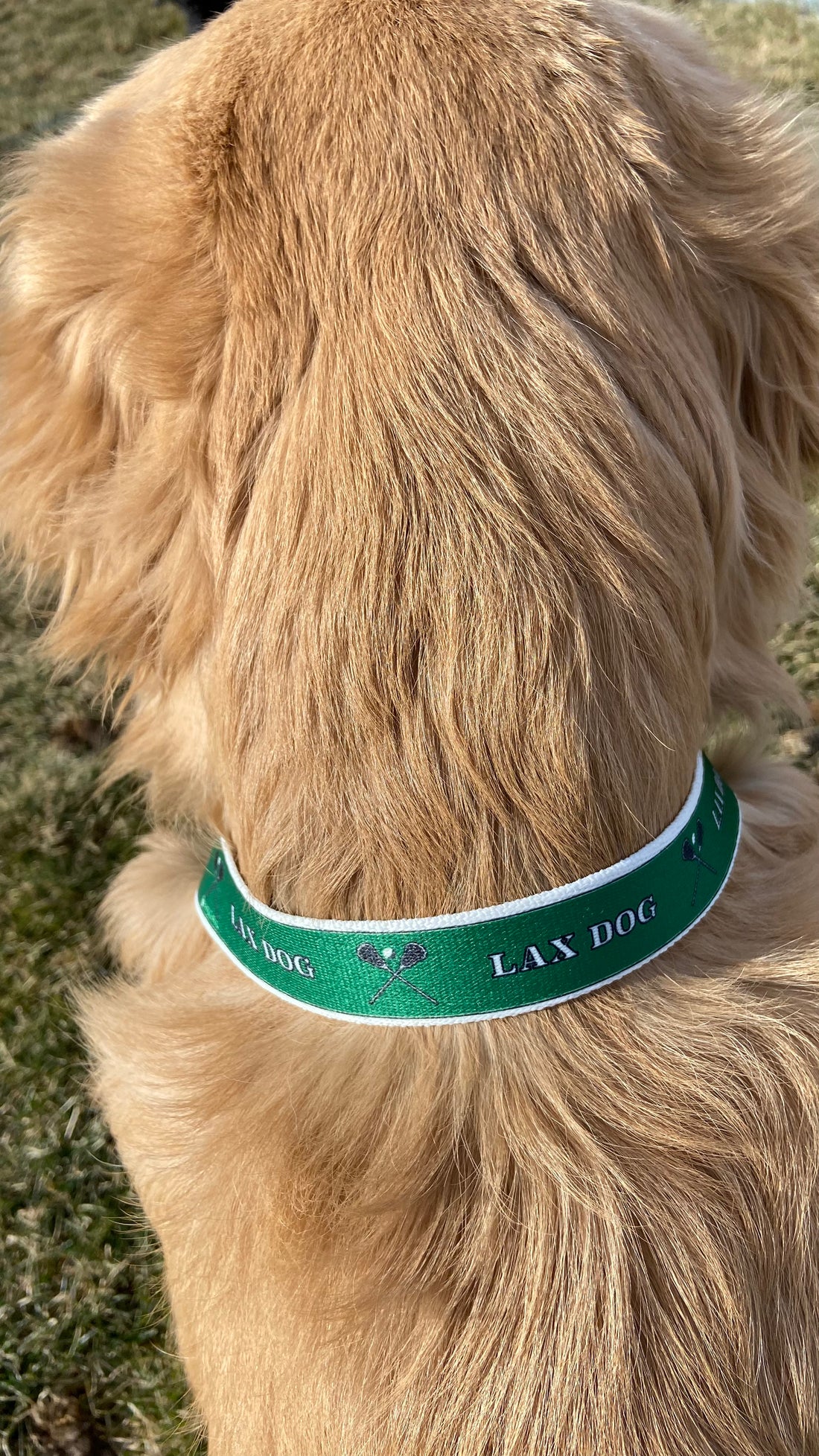 Lacrosse LAX Dog Green Collar