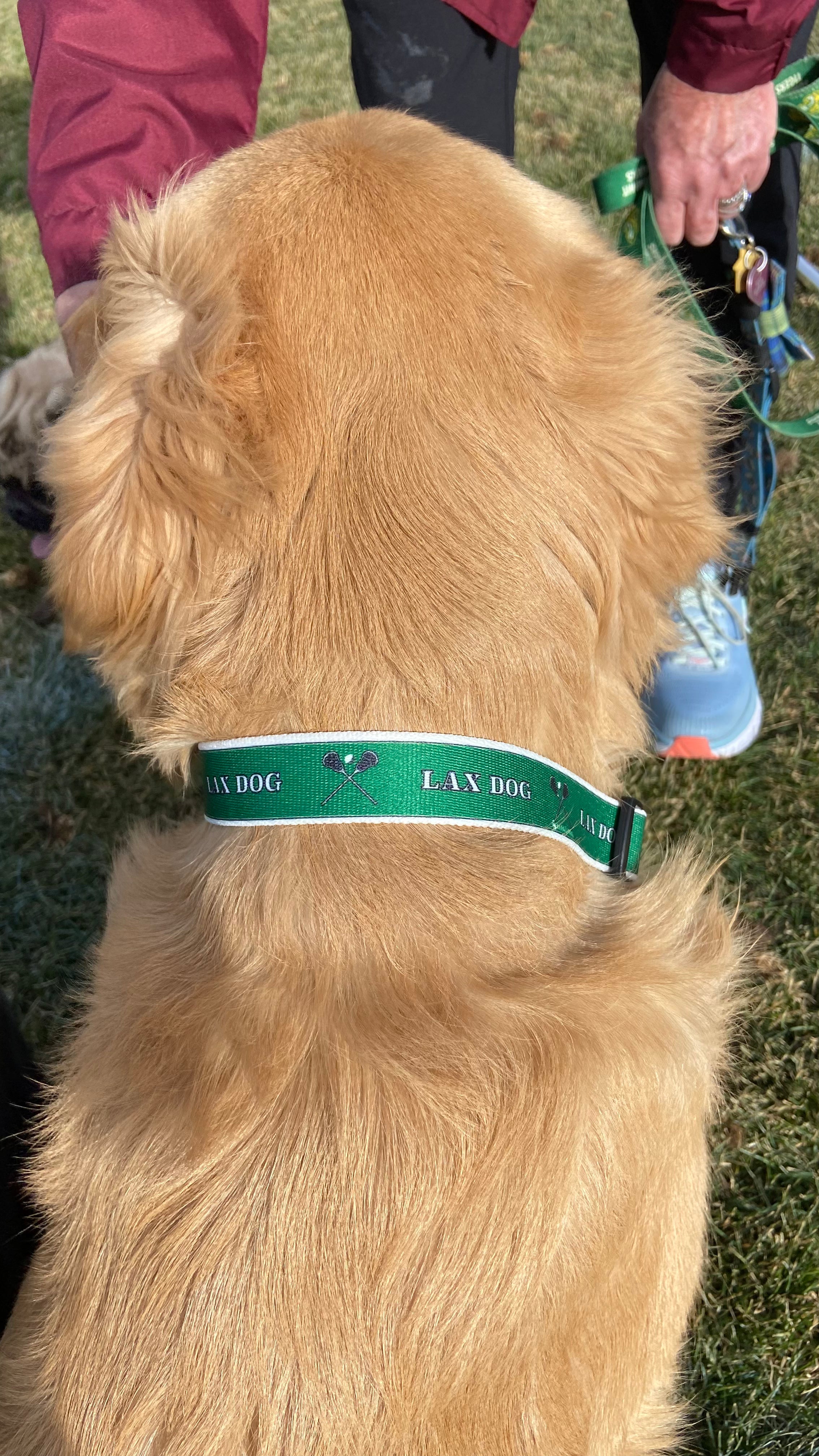Lacrosse LAX Dog Green Collar