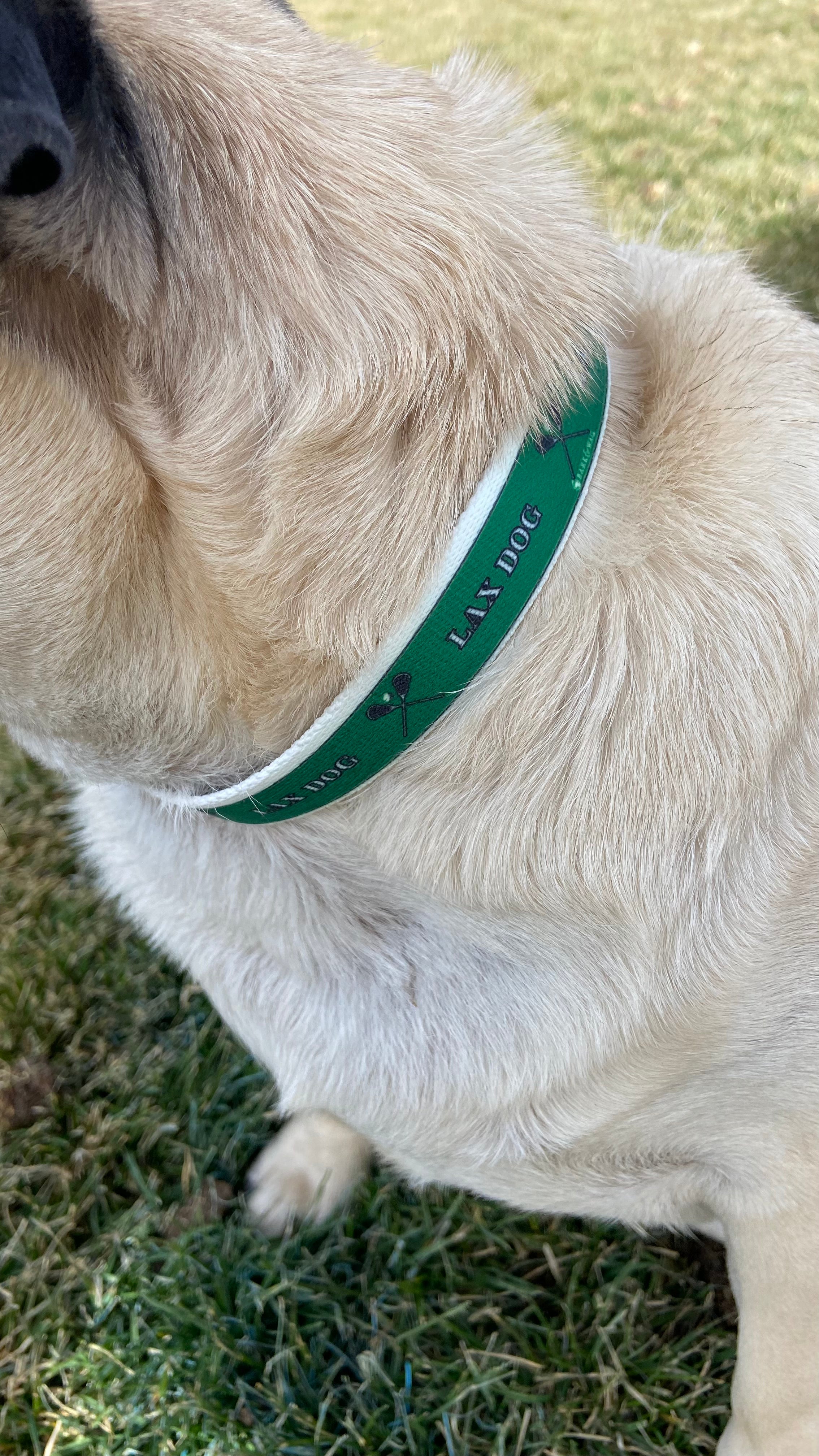 Lacrosse LAX Dog Green Collar