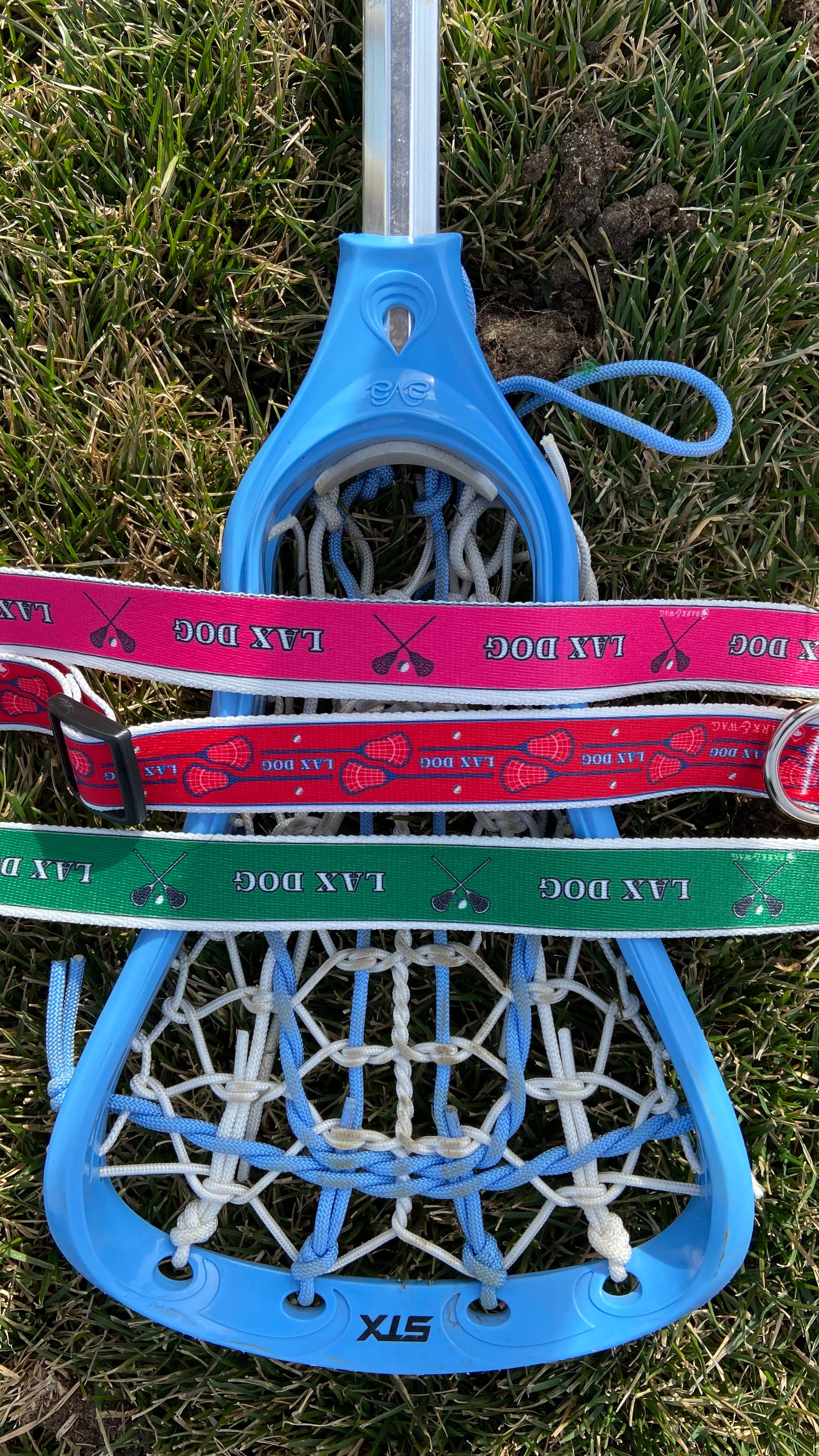Lacrosse LAX Dog Red Collar