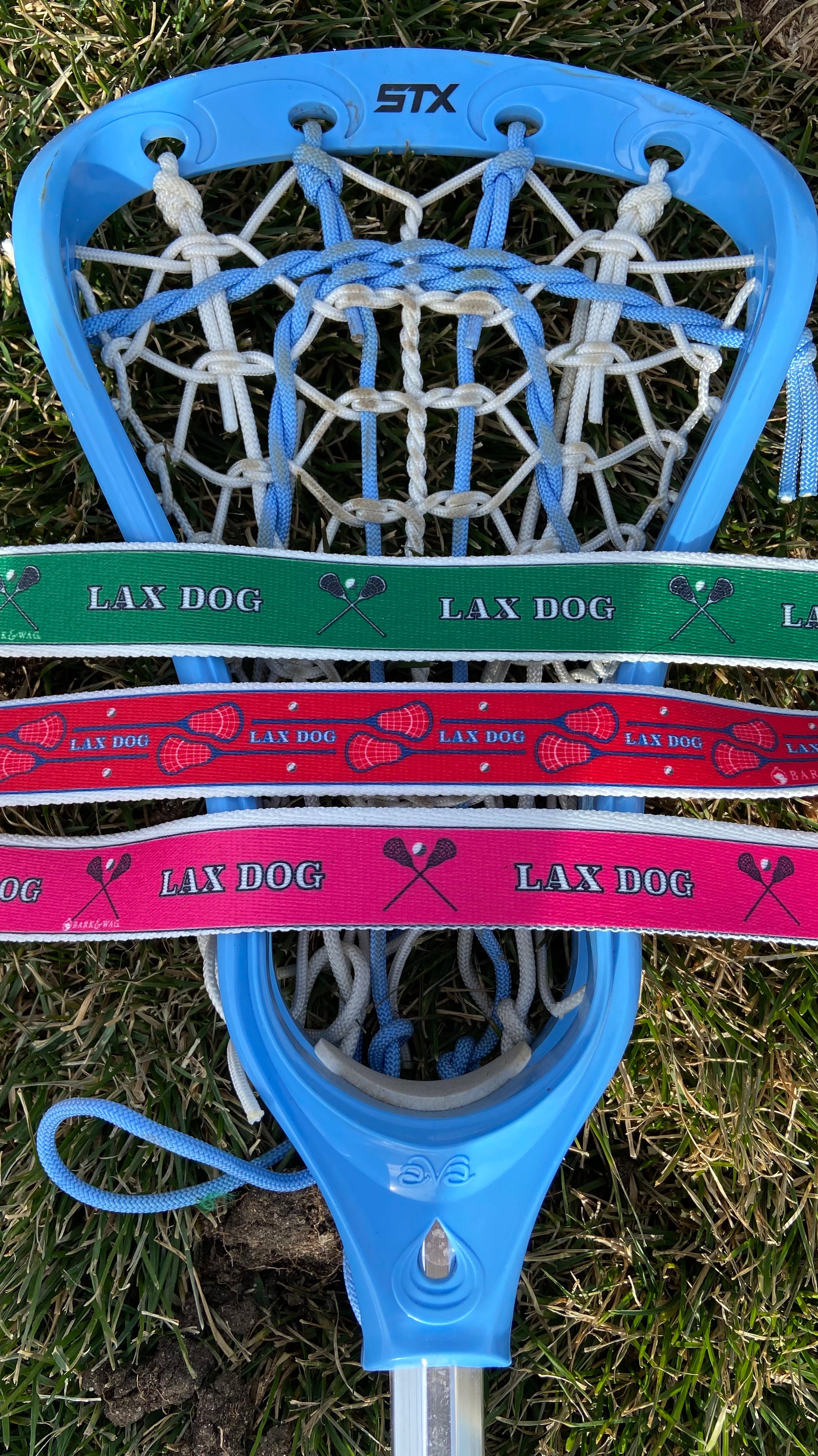 Lacrosse LAX Dog Red Collar