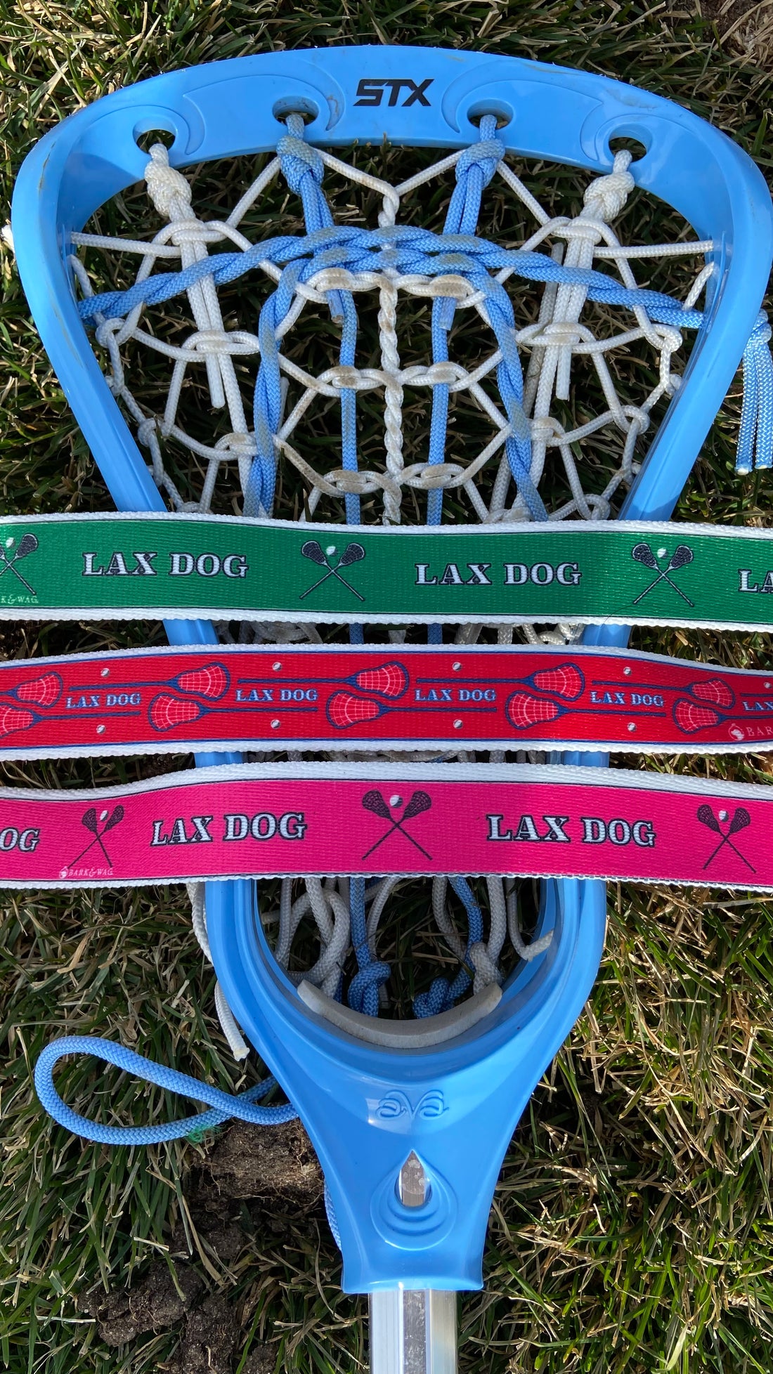 Lacrosse LAX Dog Red Collar
