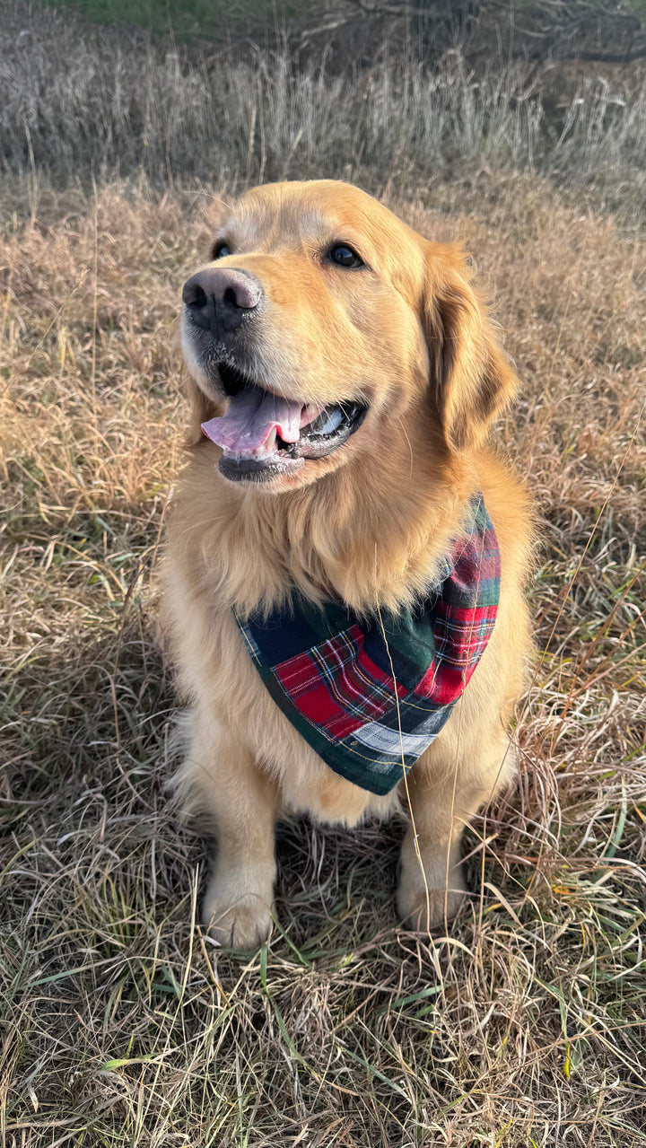 Custom-Slide Bandana