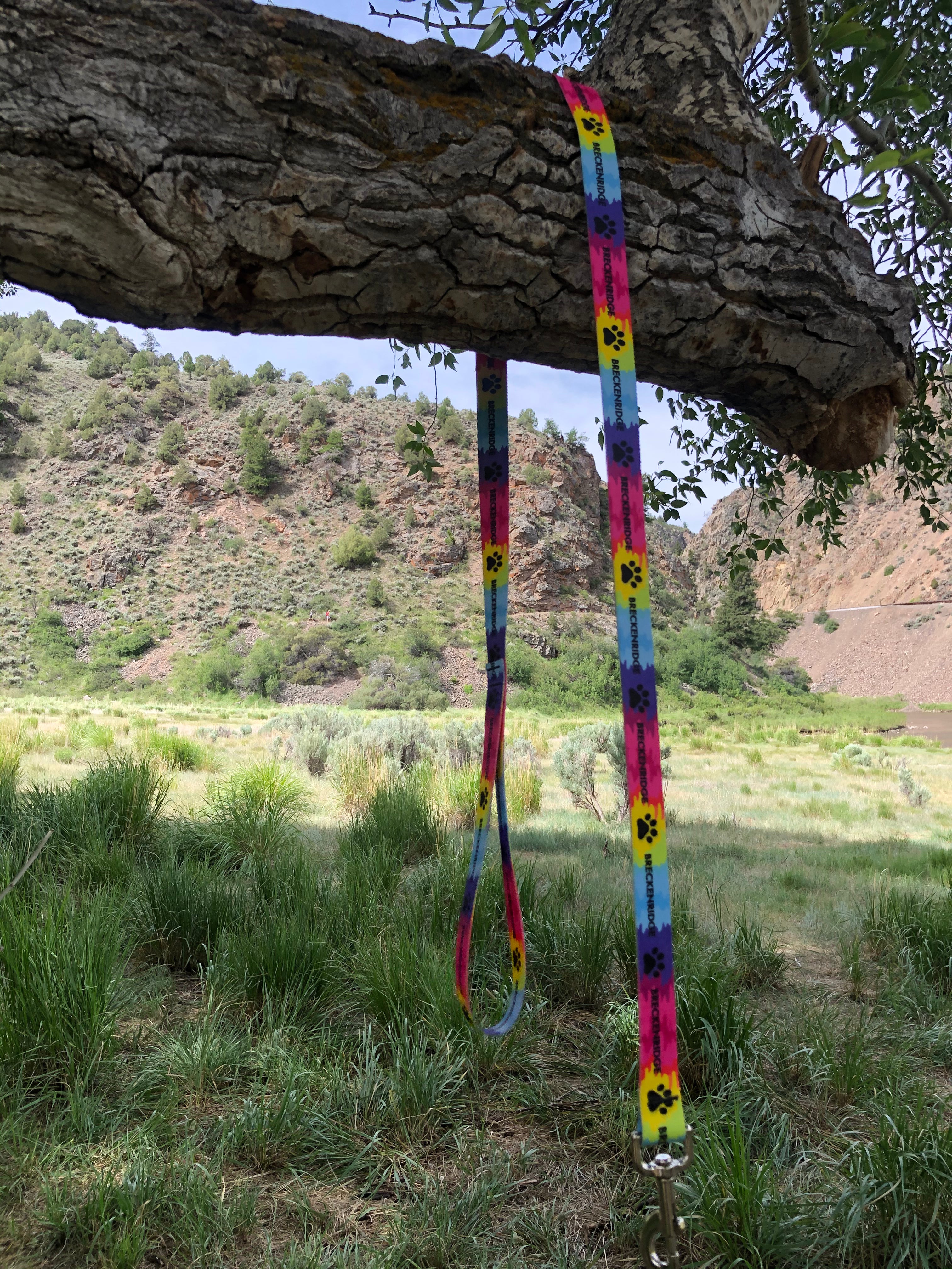 Tie Dye Paw Leash
