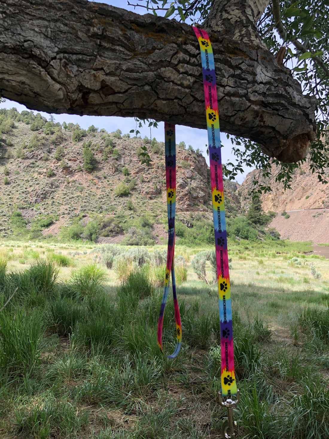 Tie Dye Paw Leash
