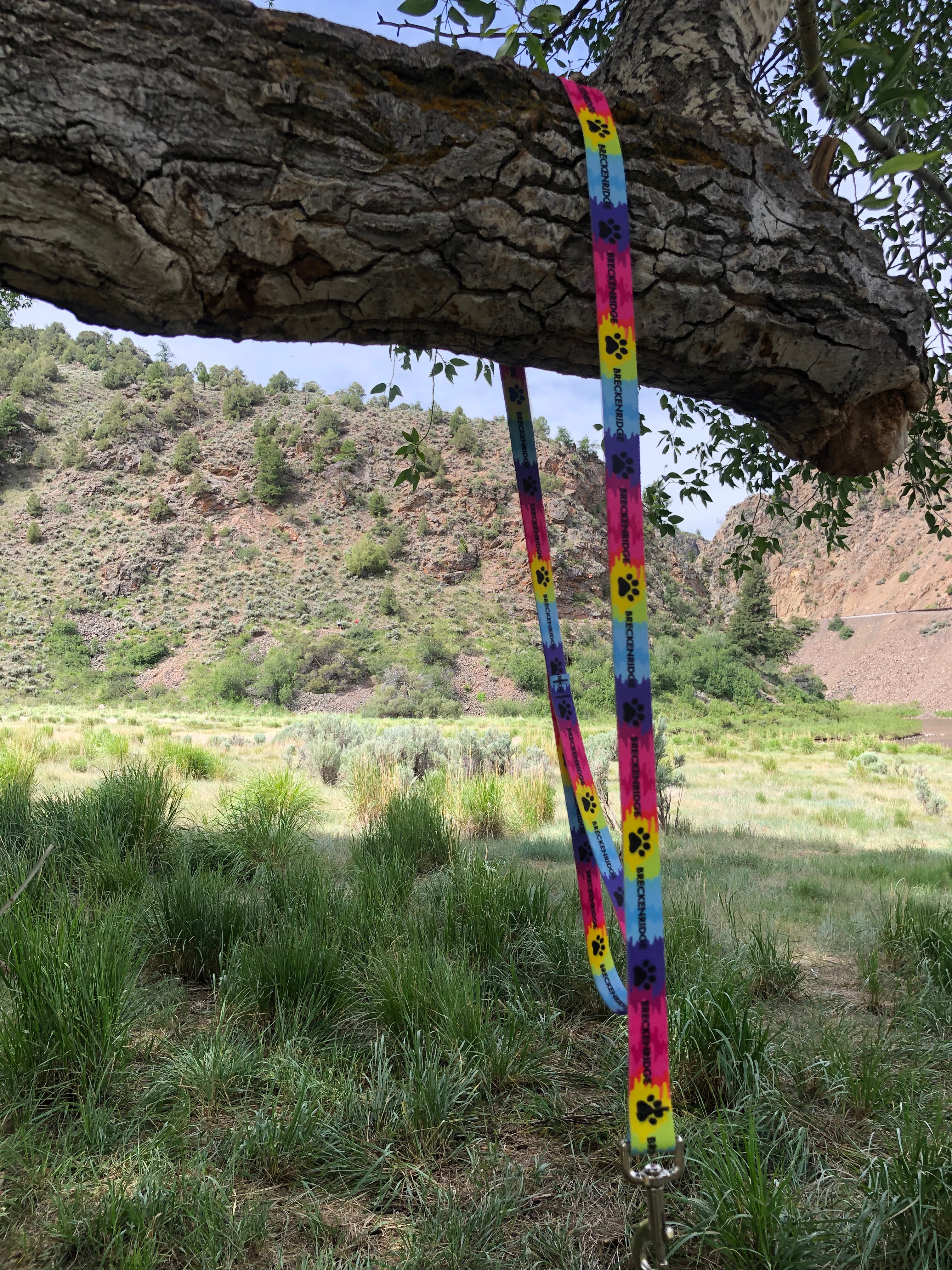Tie Dye Paw Leash