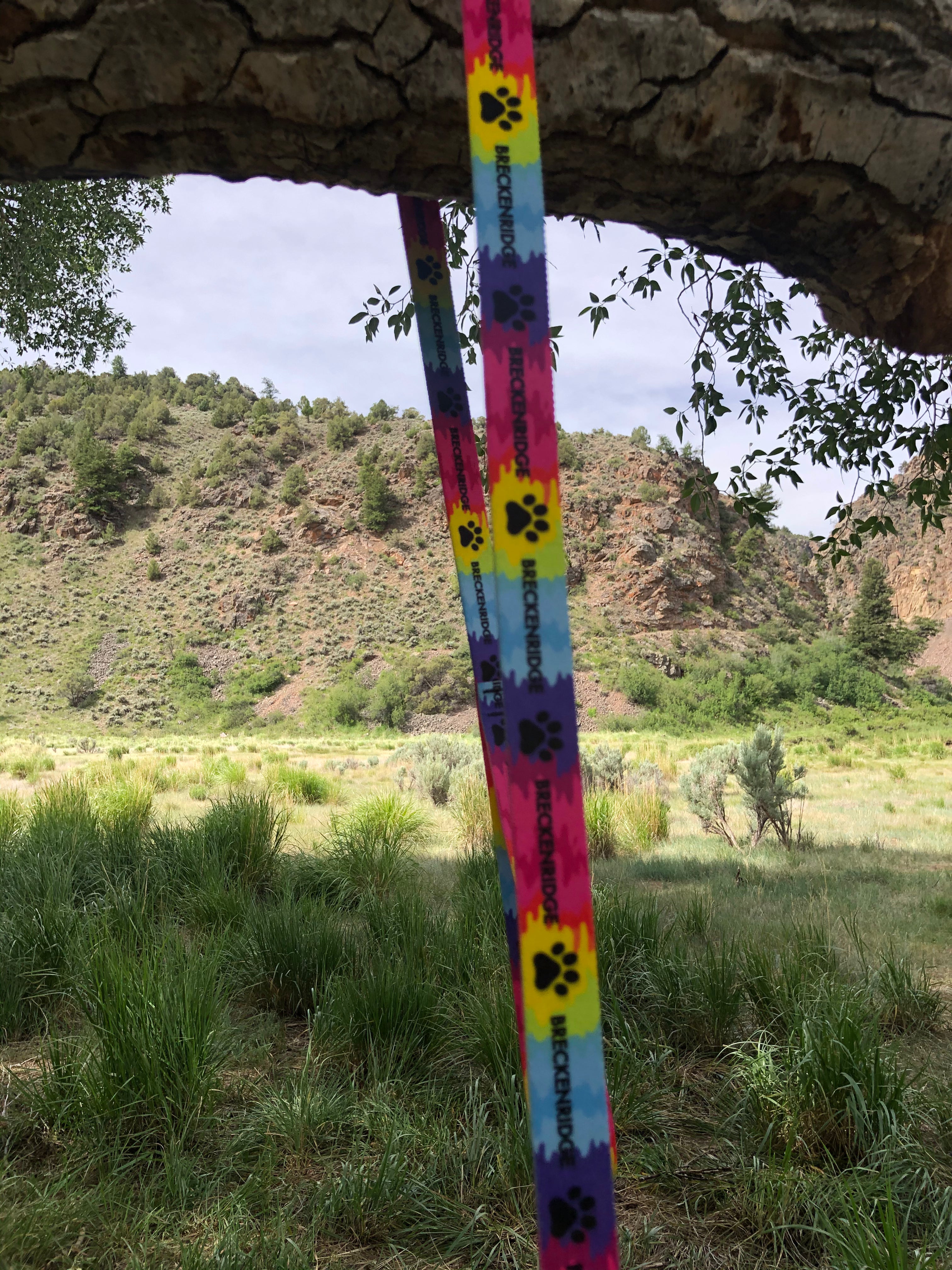 Tie Dye Paw Leash