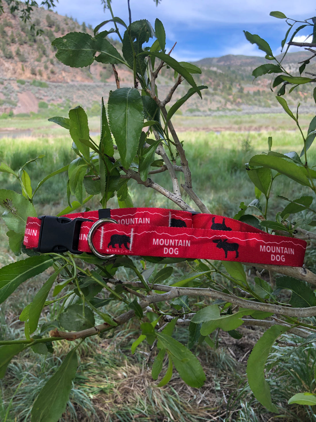 Colorado Mountain Dog Bear & Moose Collar