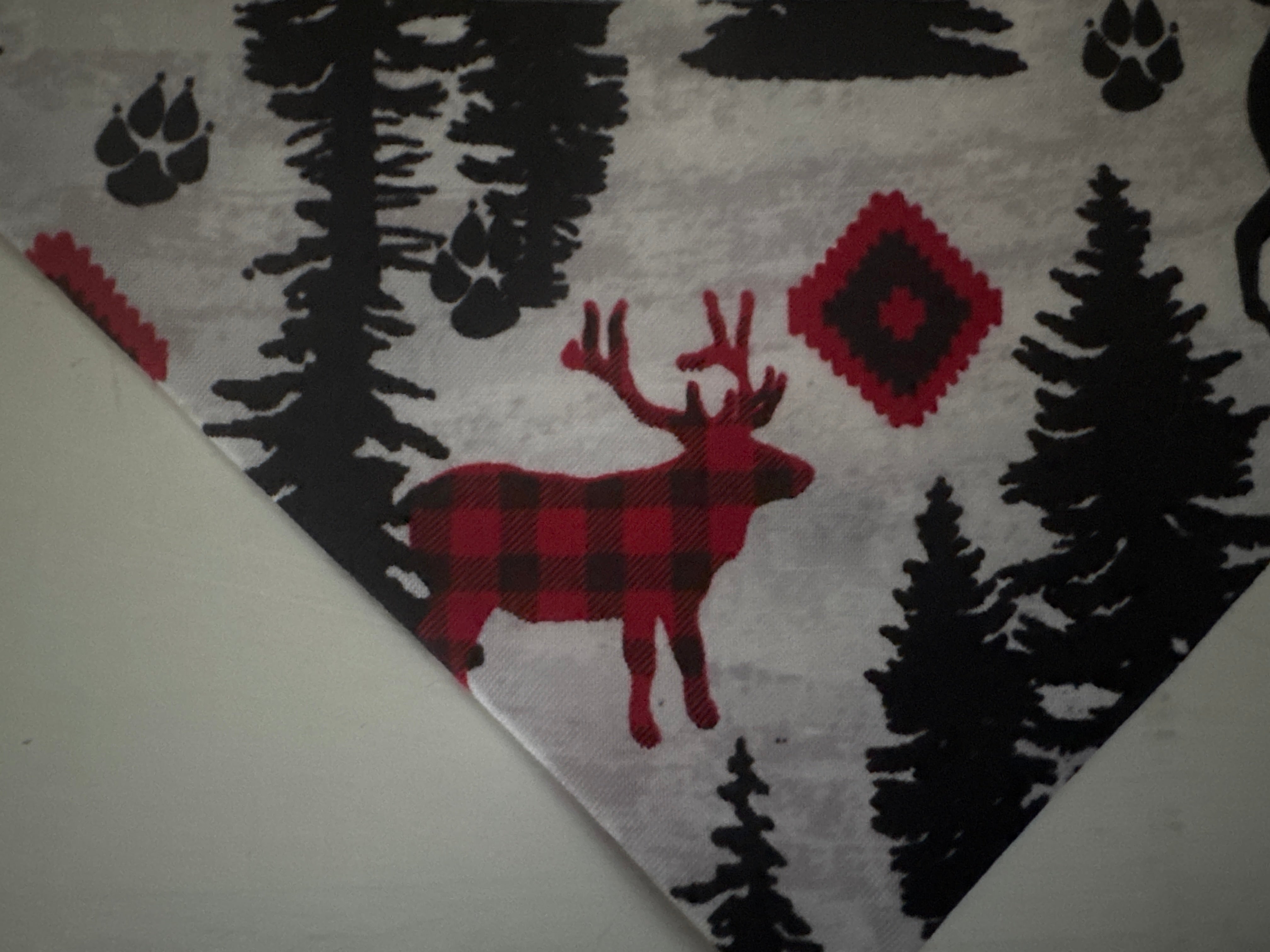 Plaid Buck