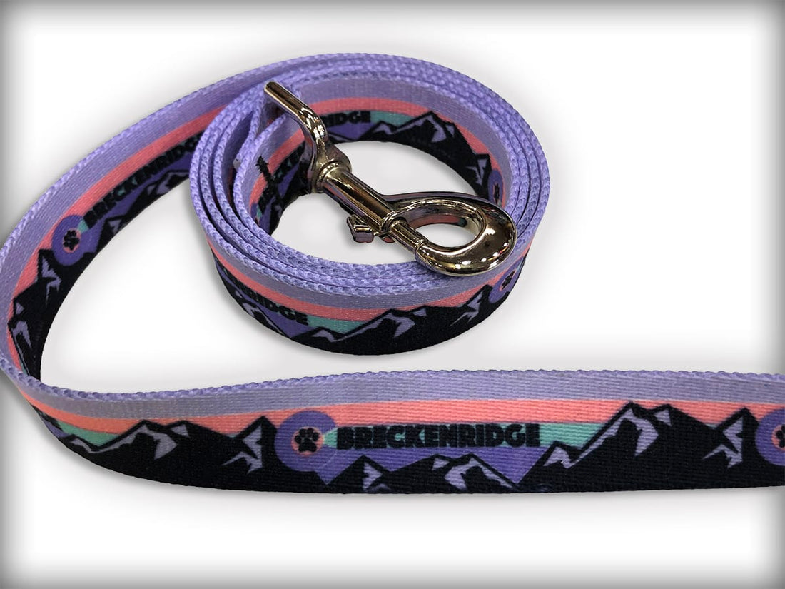 Mountain Dog  Pink Leash