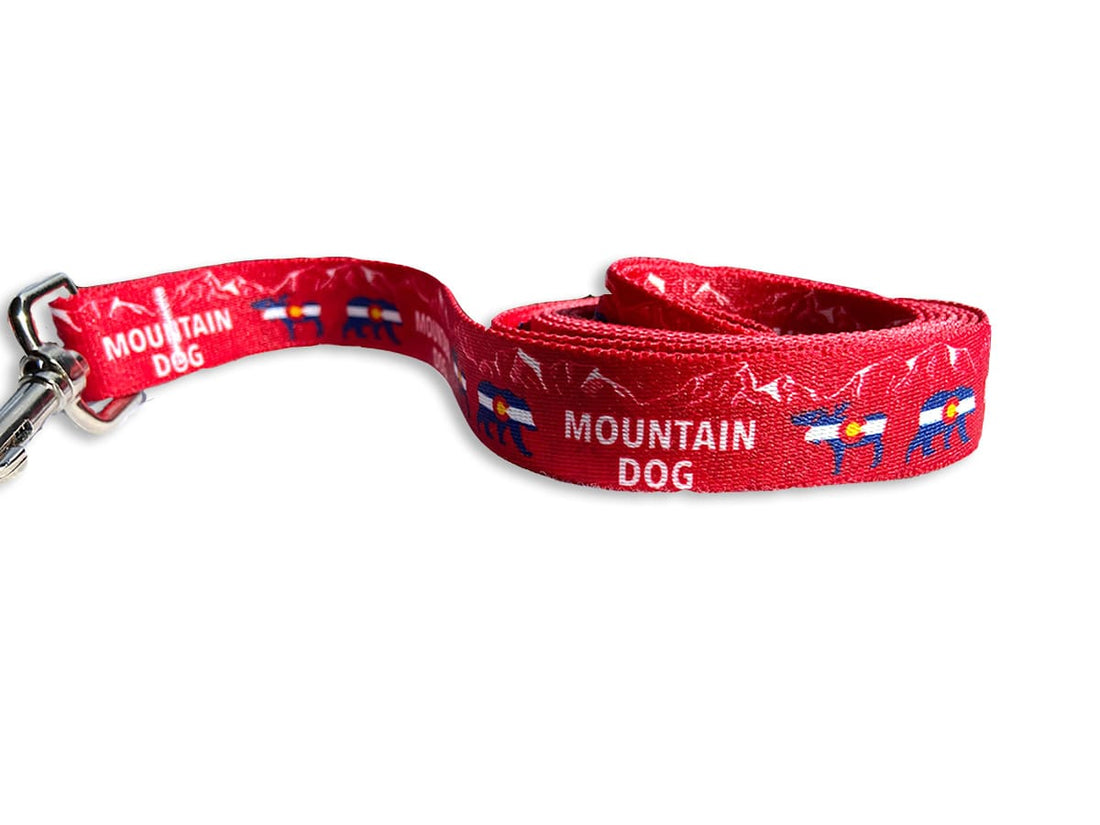Colorado Mountain Dog Bear & Moose Leash
