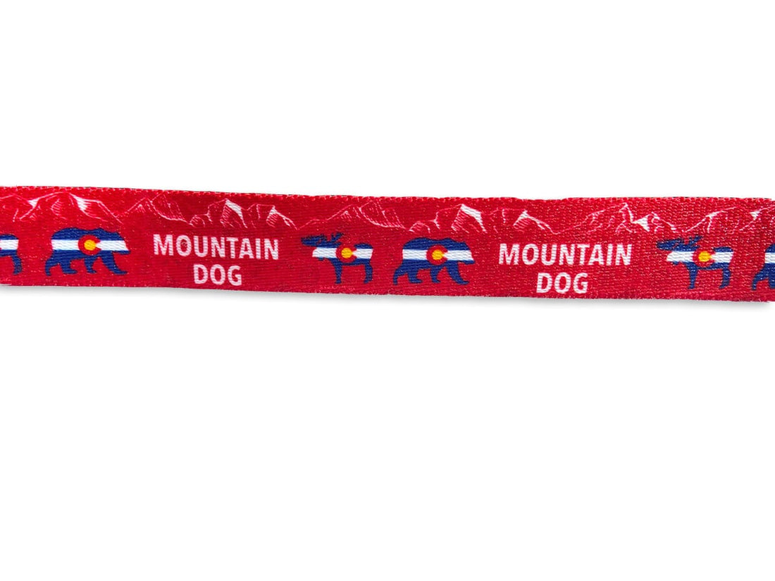 Colorado Mountain Dog Bear and Moose Dog Leash