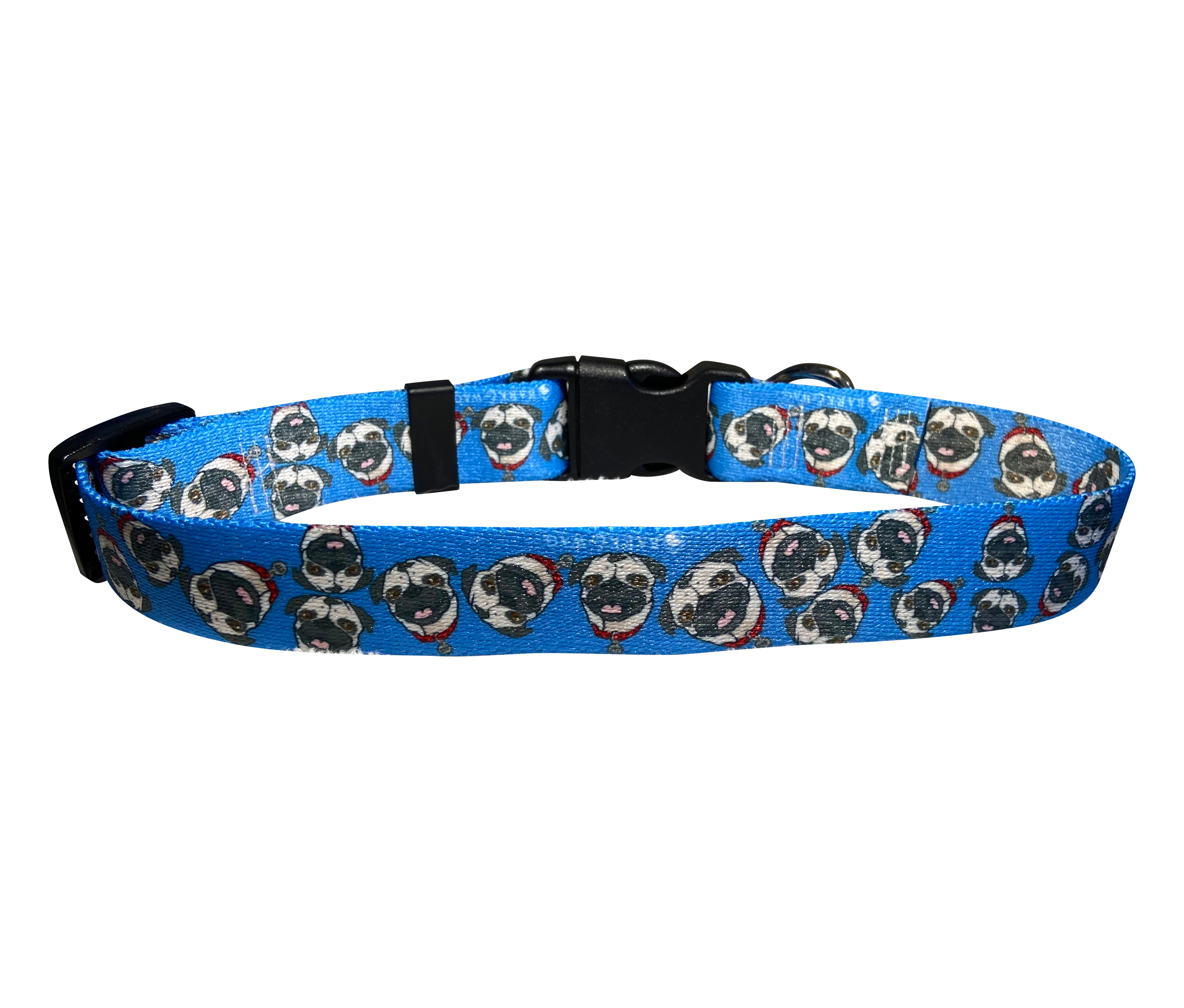 Chuck the Pug Blue Collar image 0