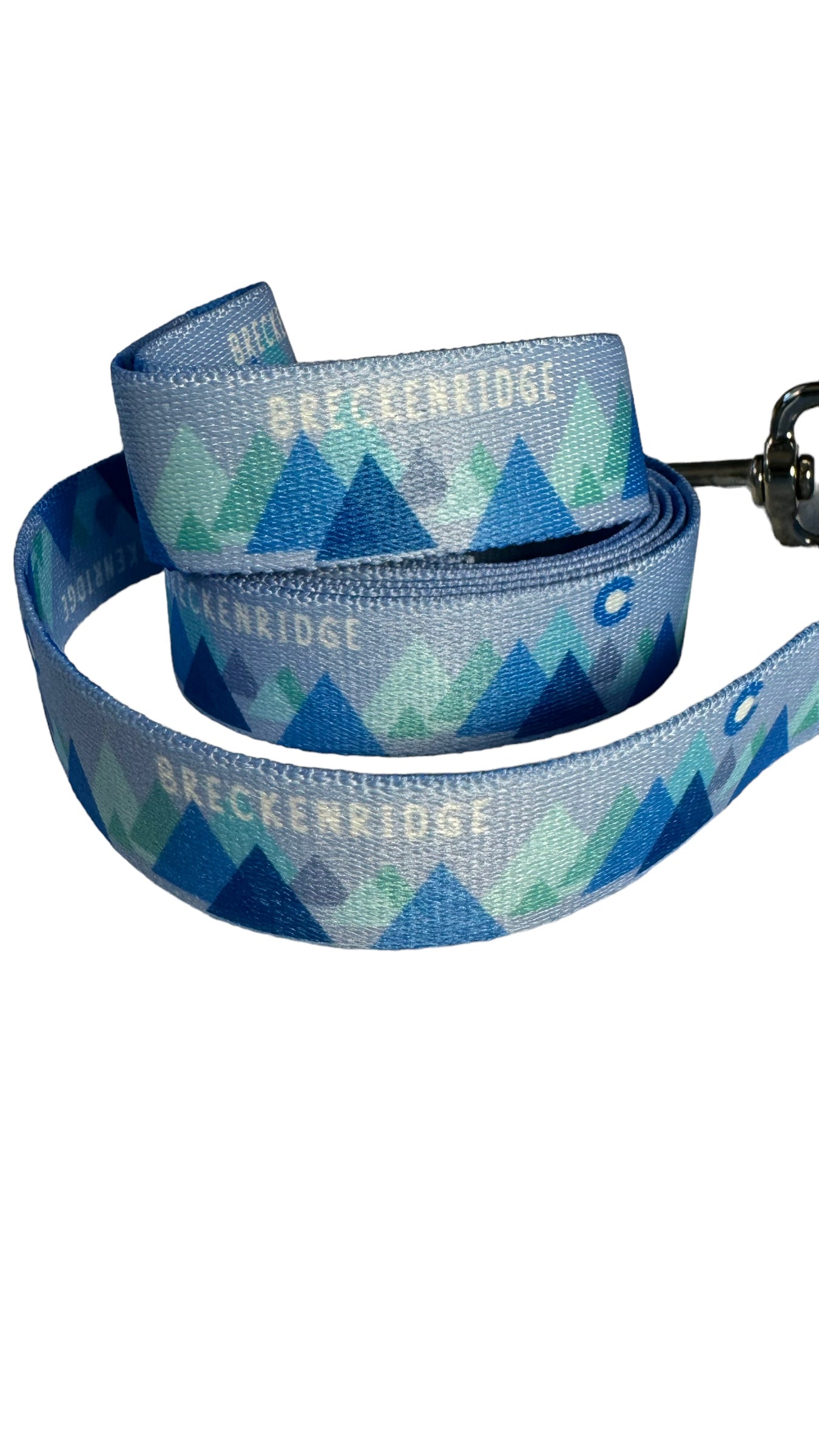 Modern Mountain Blue Breckenridge Leash image 1