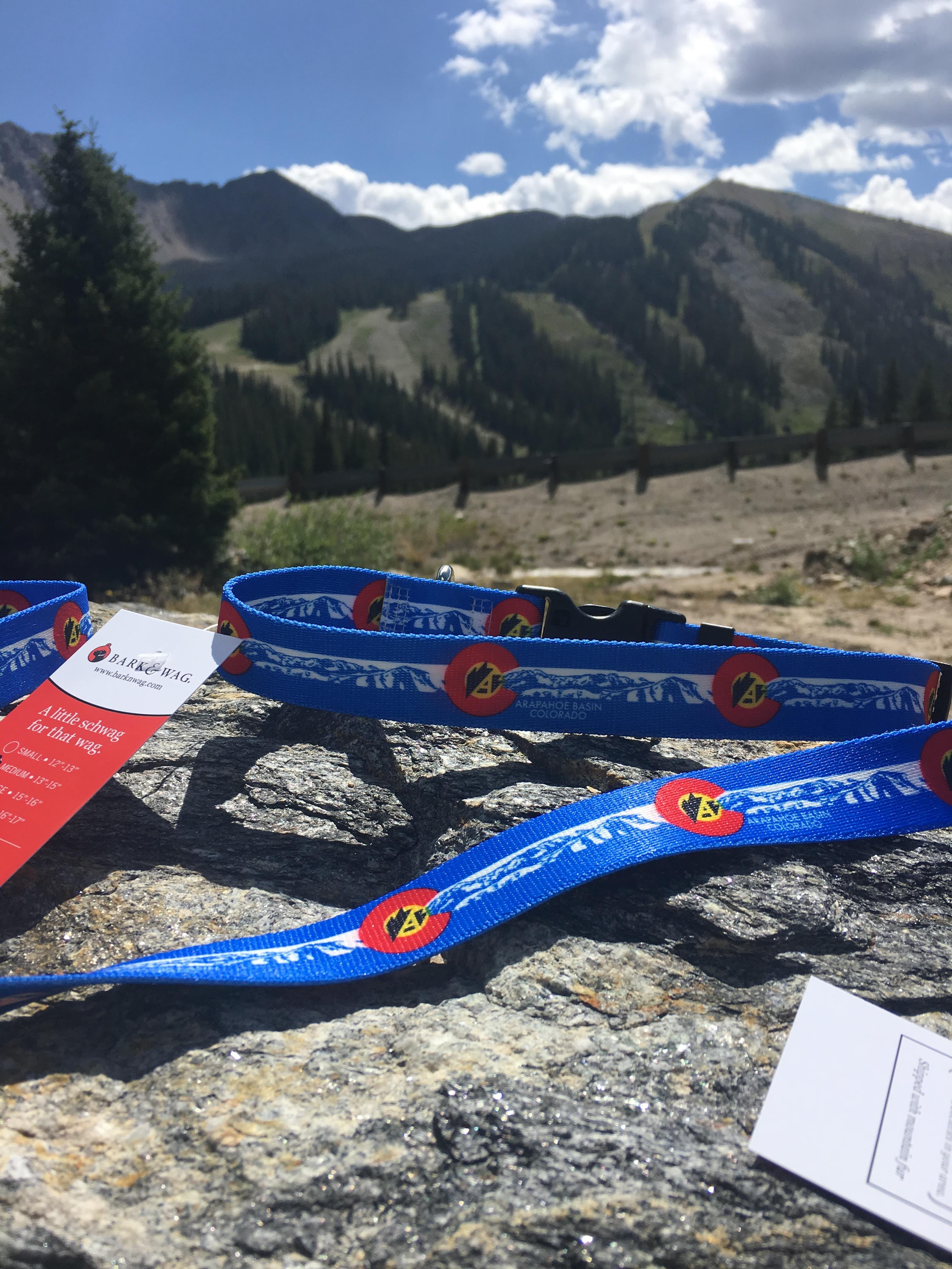 Custom Business Dog Collar and Leashes image 1