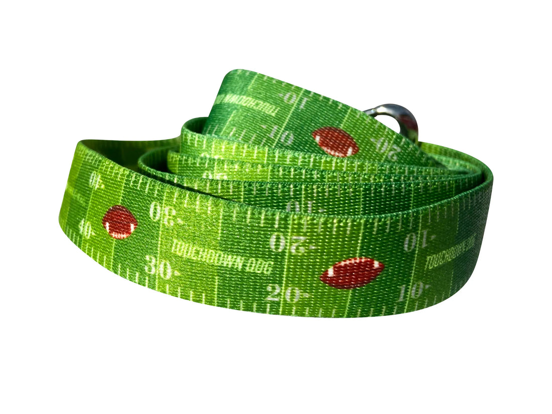 Touchdown Dog Football Leash image 0