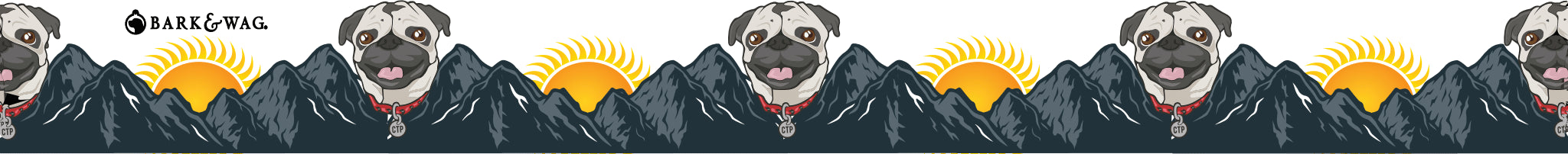 Sun Pug Dog Collar image 2