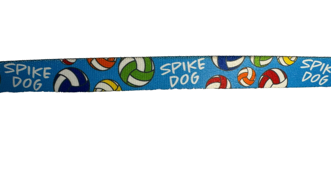 Spike Dog Volleyball Collar image 0