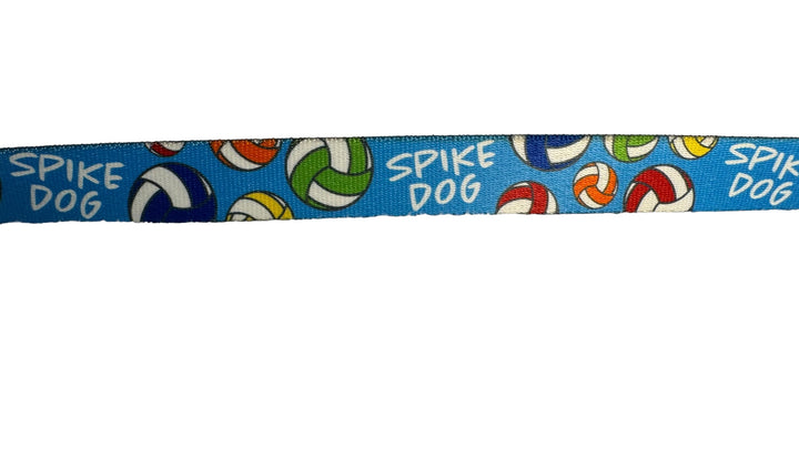 Spike Dog Volleyball Collar image 0