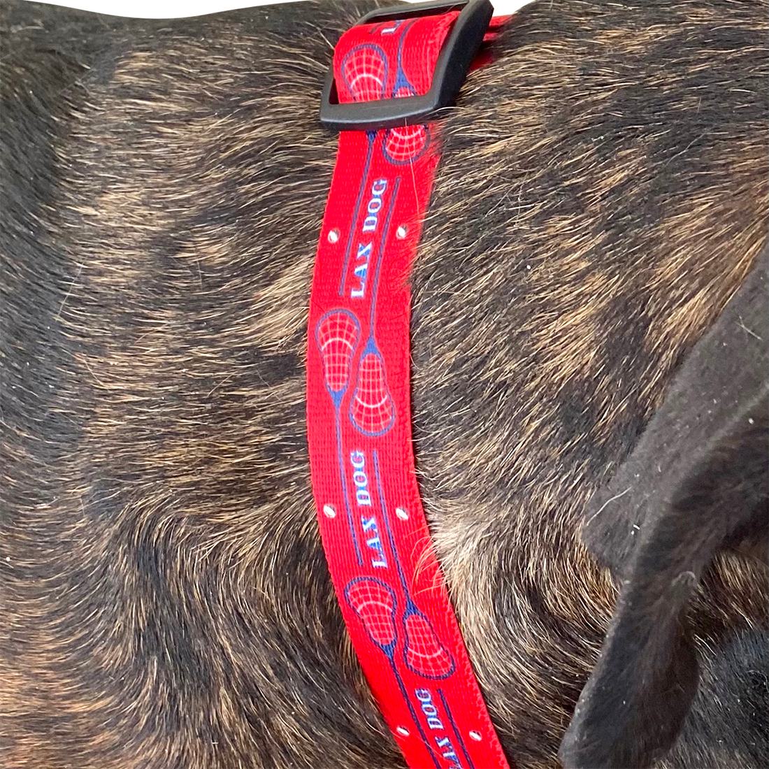 Lacrosse Dog Red Collar image 2