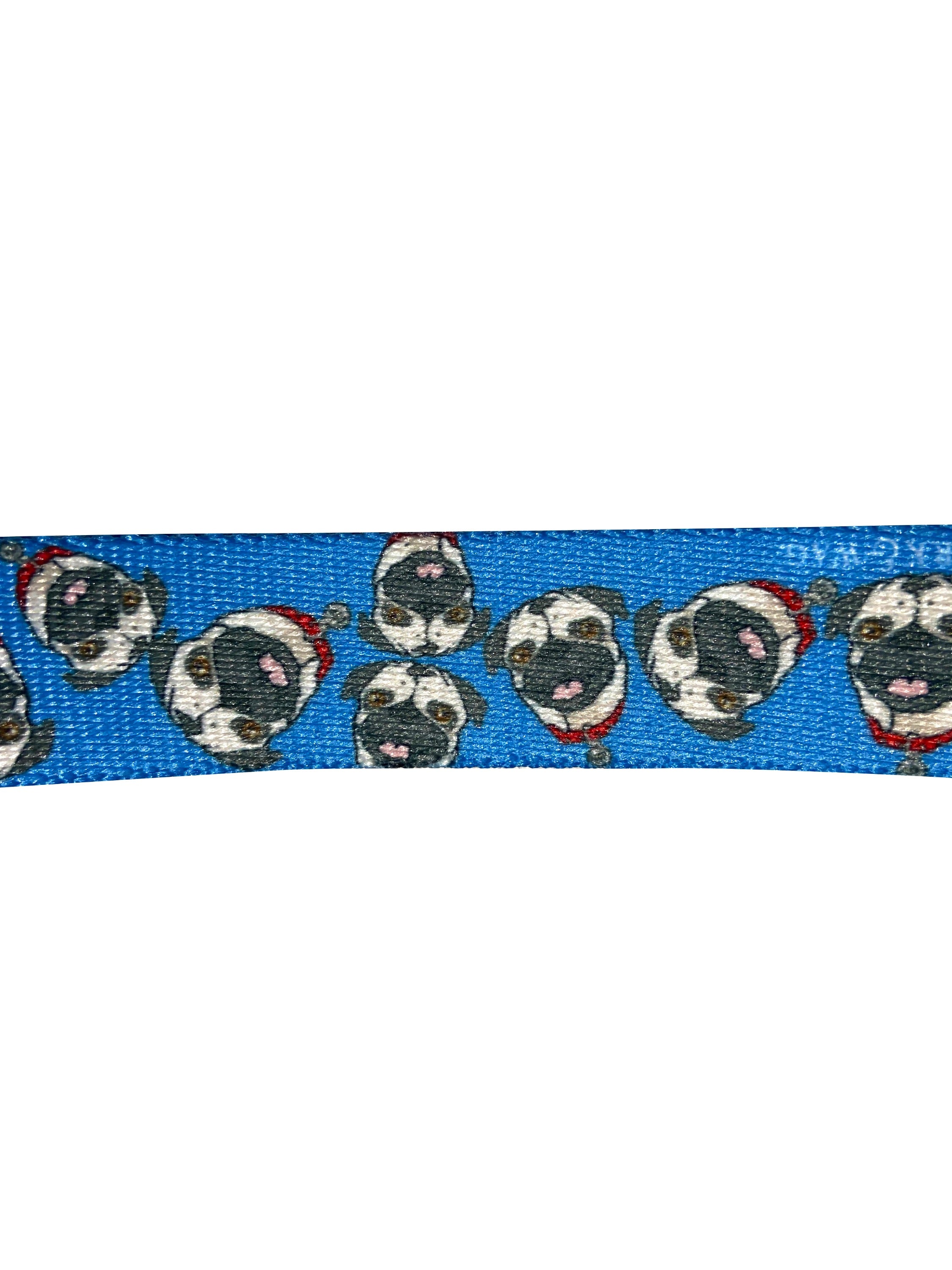 Chuck The Pug Blue Leash image 2
