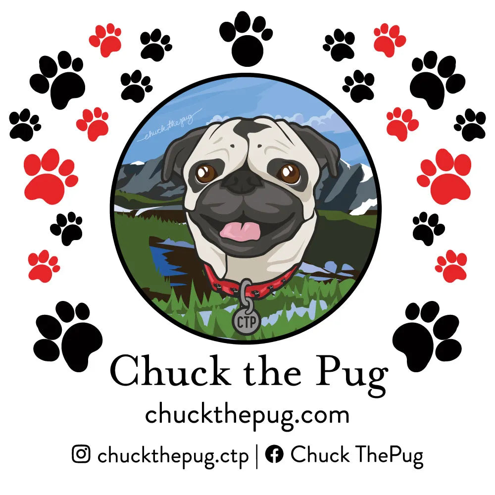 Chuck the Pug Red & Black Sticker image 1