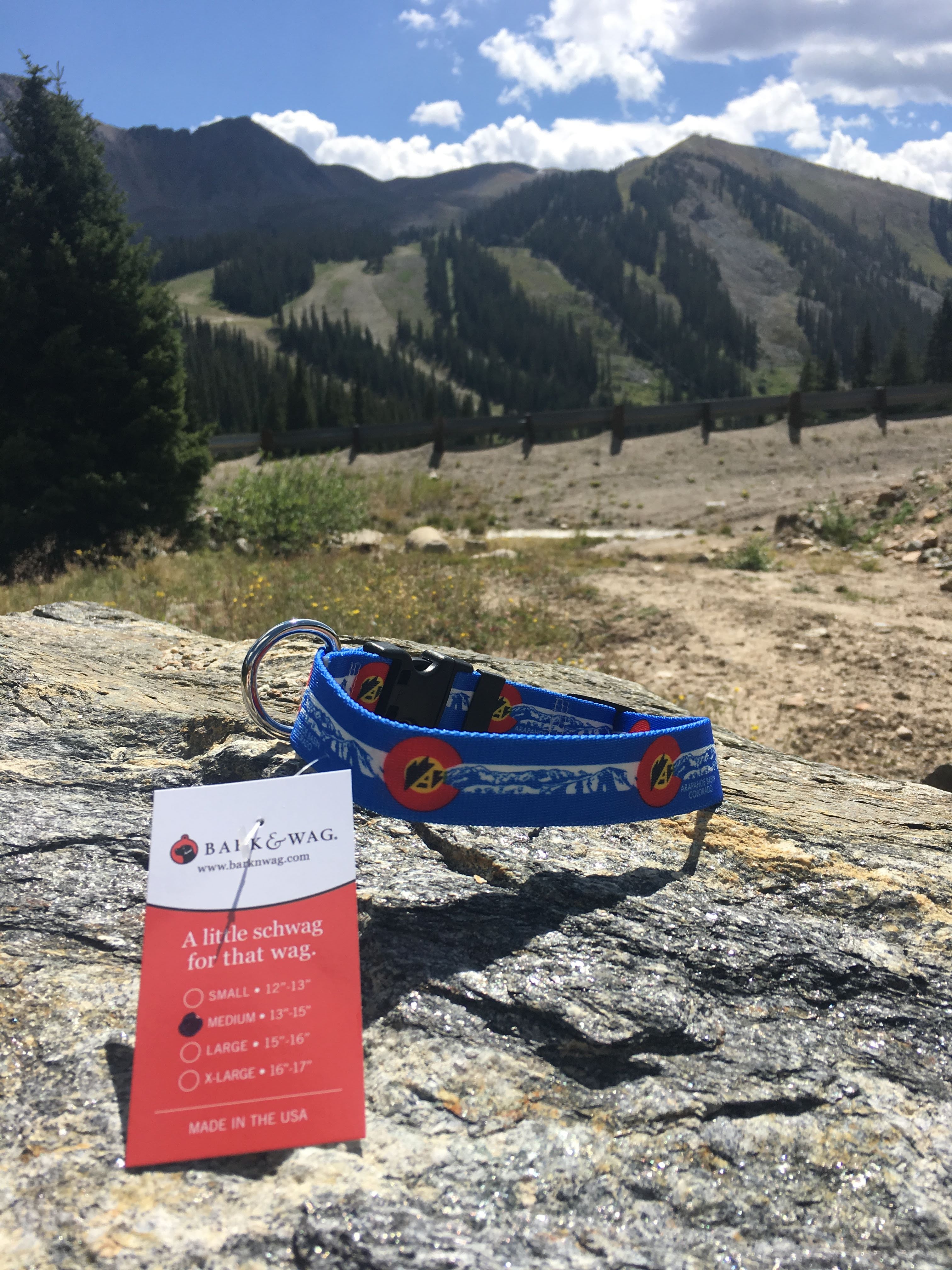 Custom Business Dog Collar and Leashes image 0