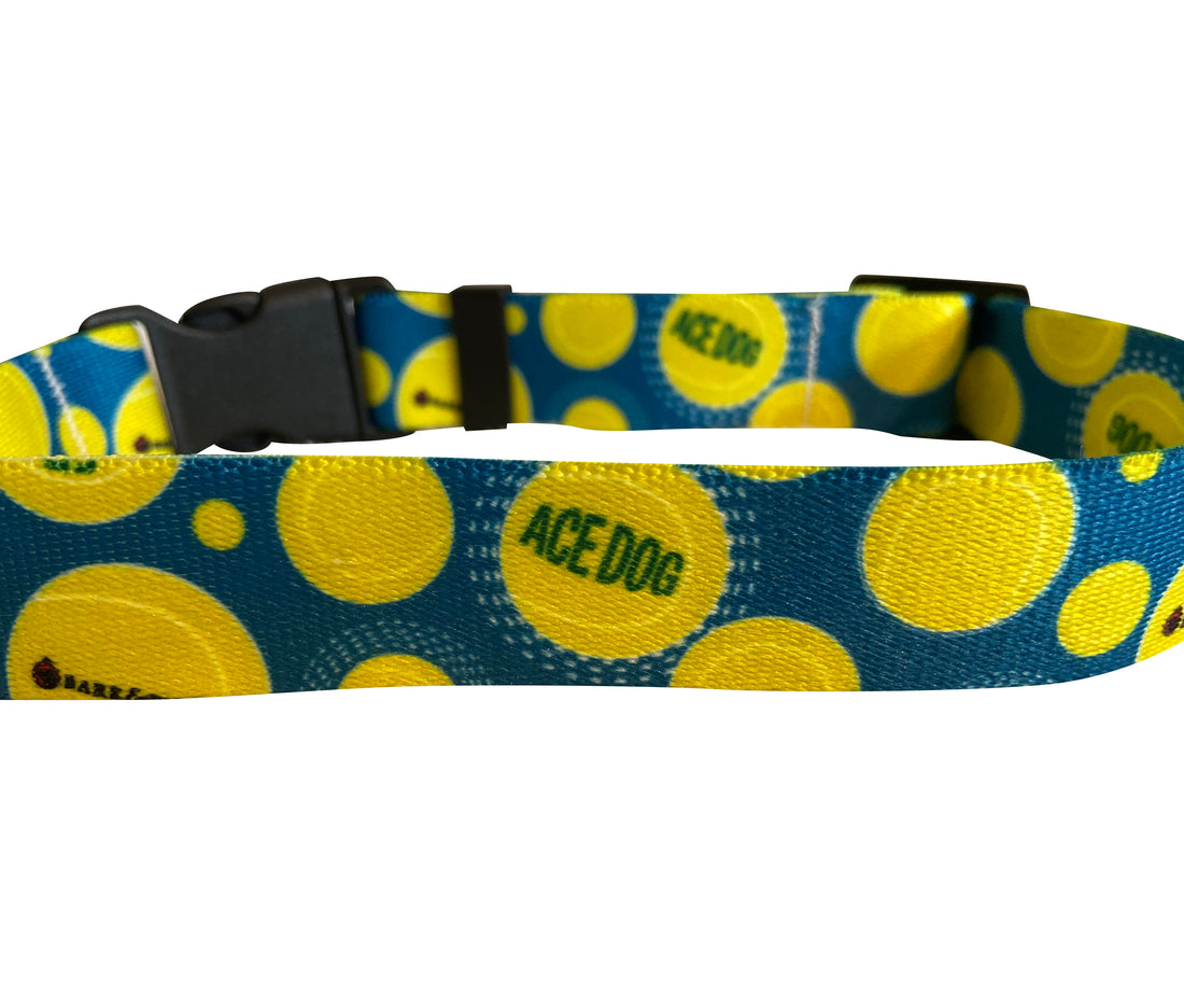 Ace Dog Blue Tennis Collar image 5