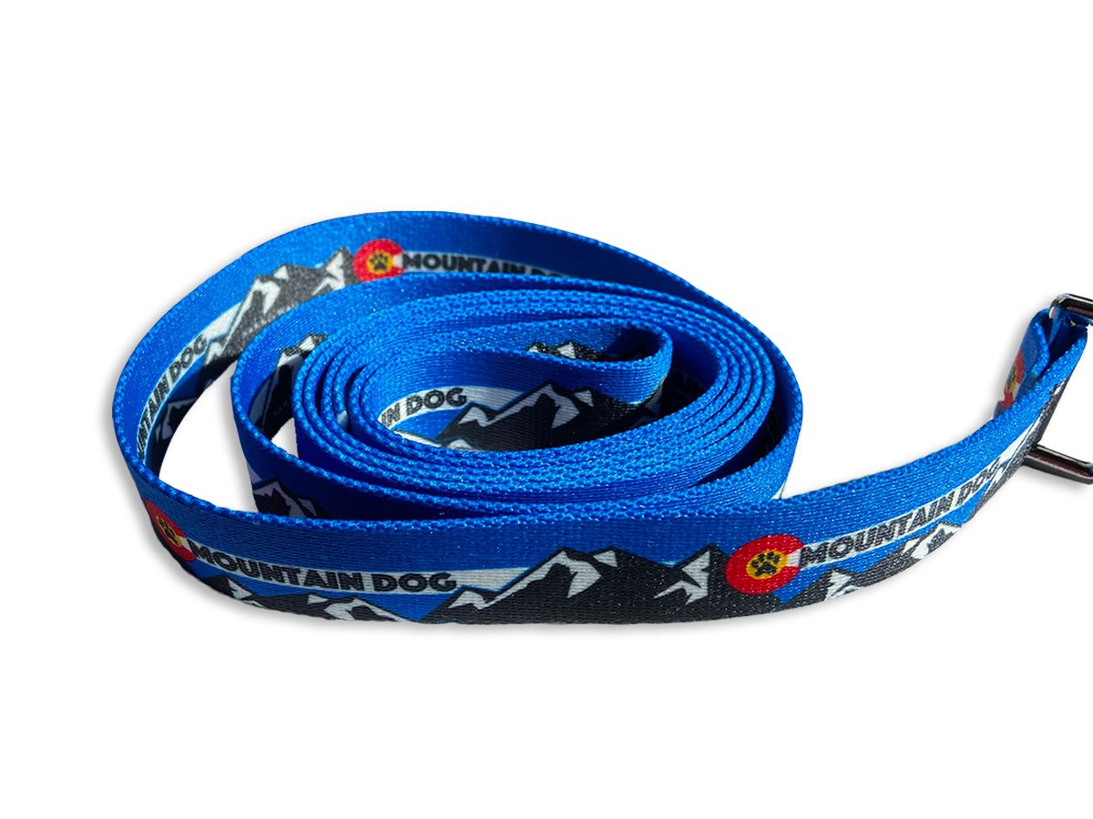Mountain Dog  Blue Leash image 1