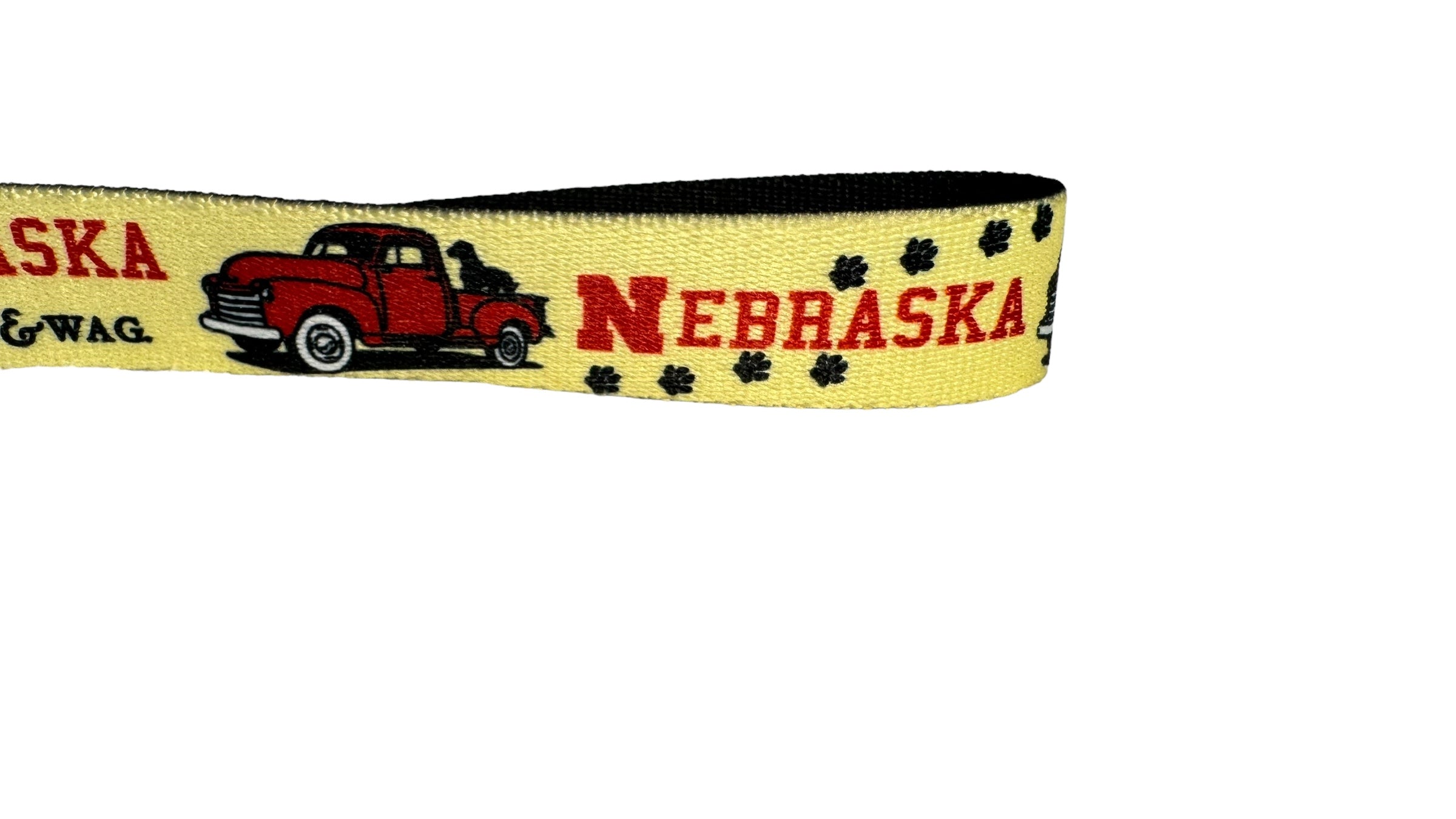 Nebraska Leash image 3