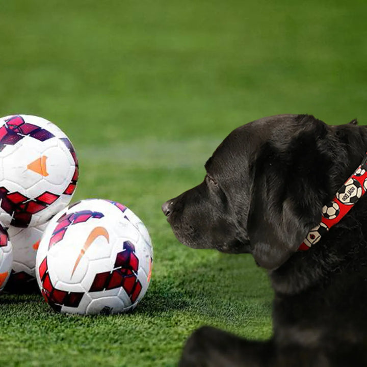 Goal Dog Red Soccer Collar image 1
