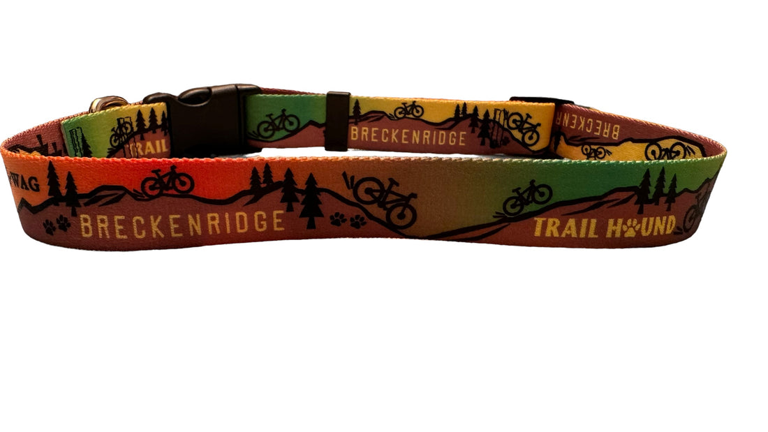 Trail Hound Breckenridge Collar image 2