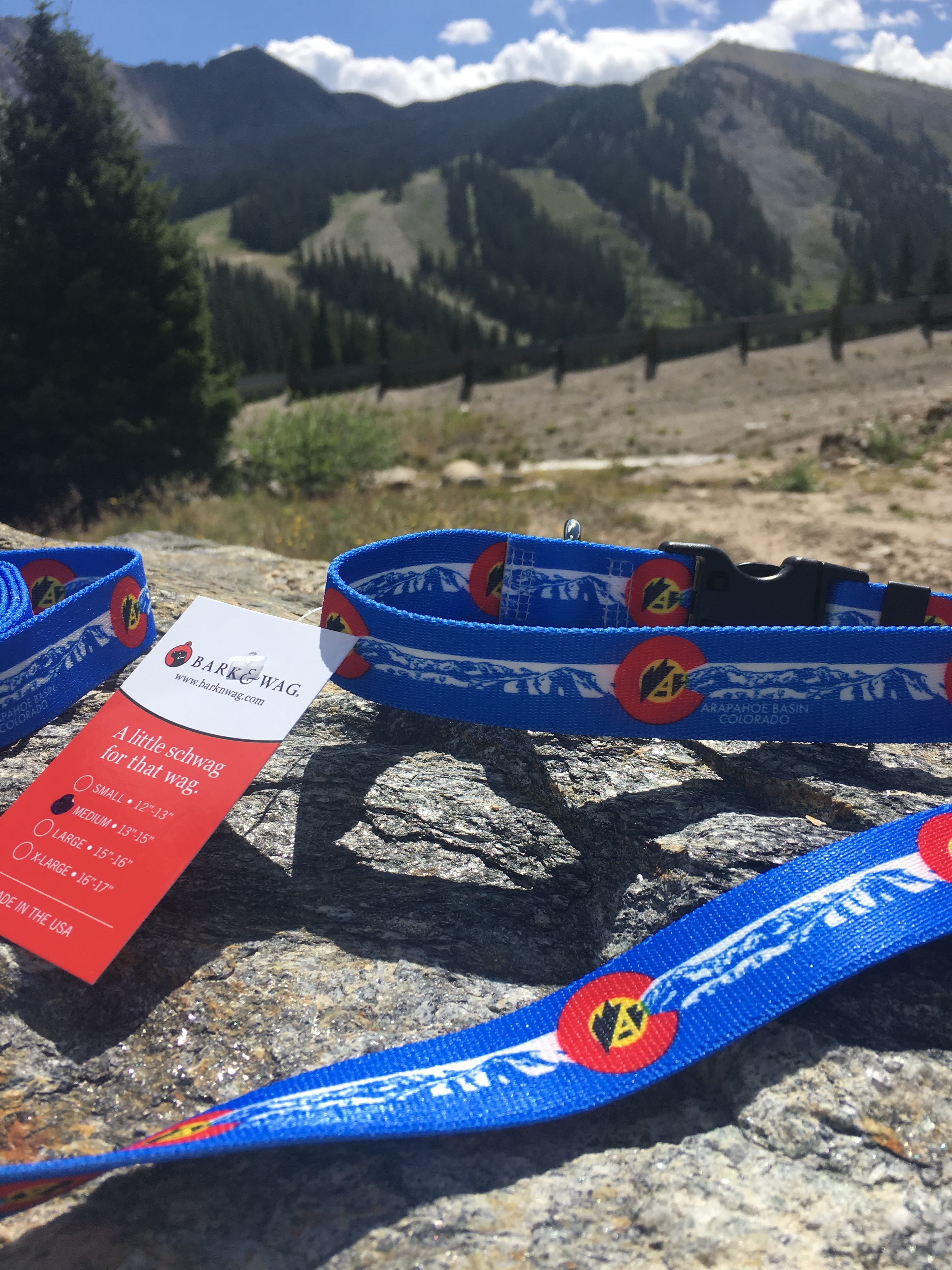 Custom Business Dog Collar and Leashes image 2