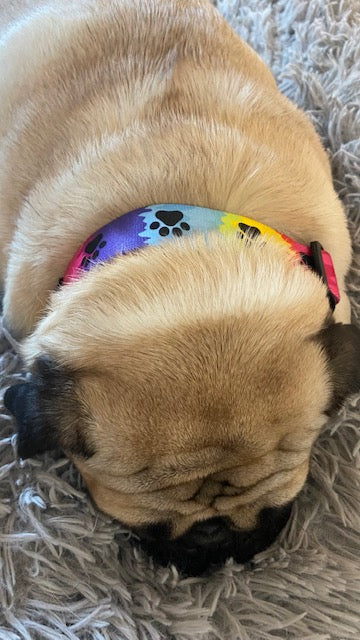 Breckenridge Tie Dye Collar image 3